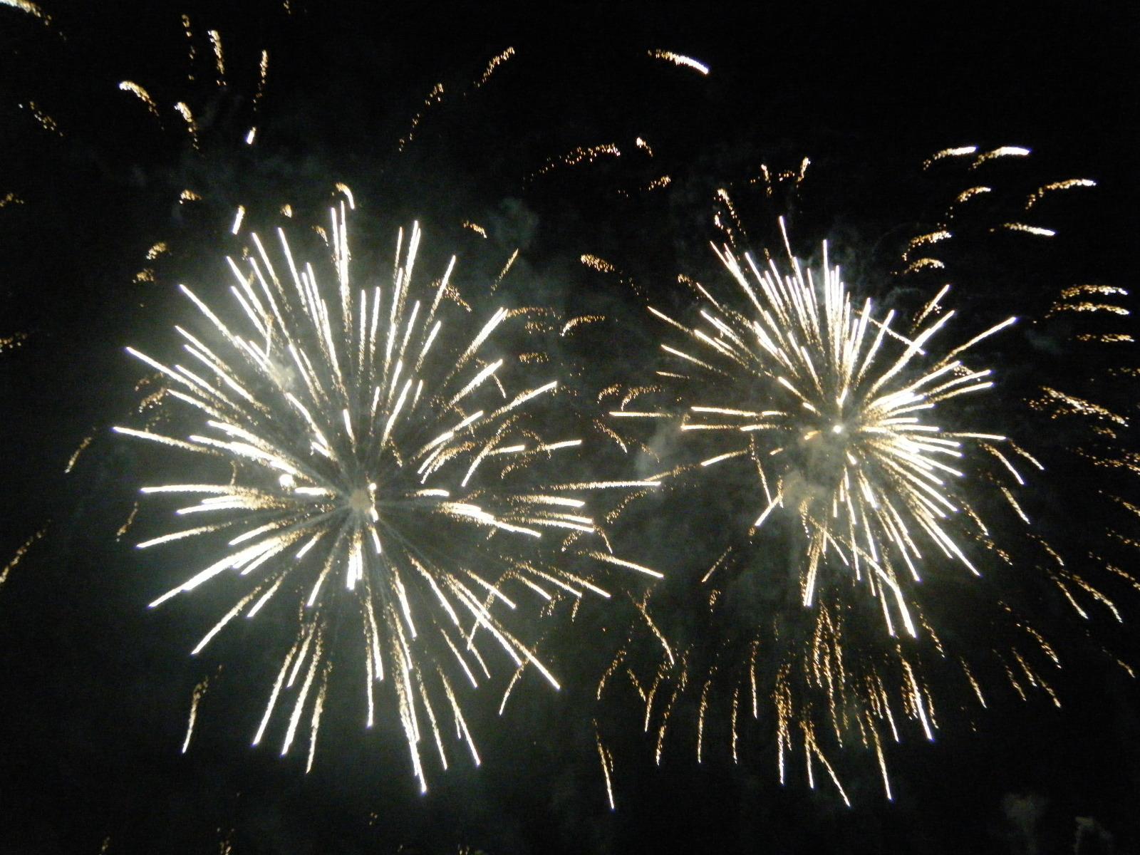 La Cerimonia d’Apertura del Carnevale 2013