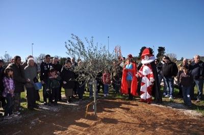 Un albero per Floriano